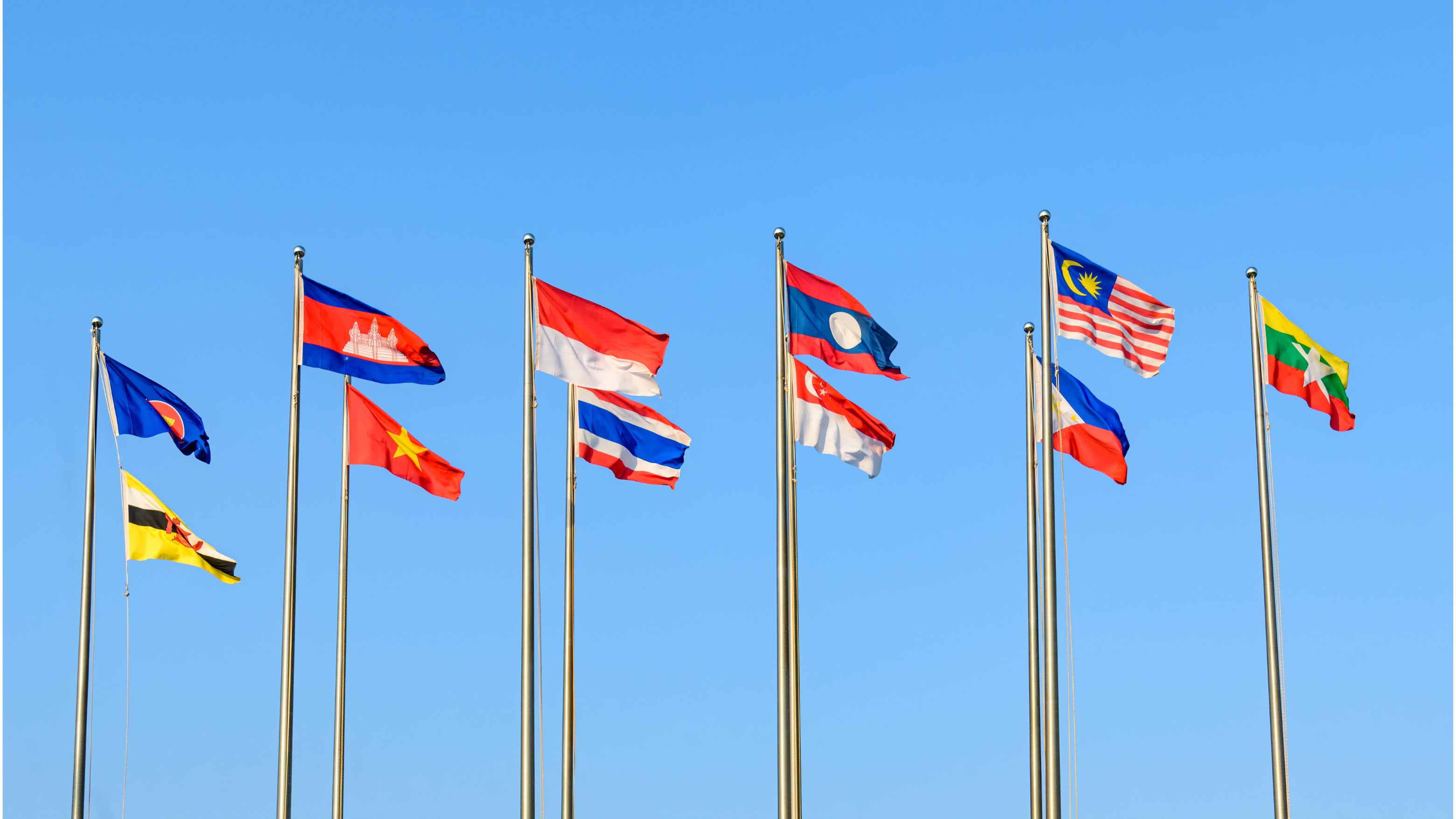 Cover Image (13).png